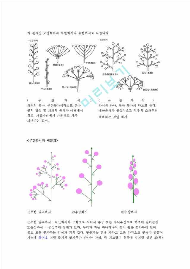관상식물의 꽃구조 생활과원예   (2 페이지)